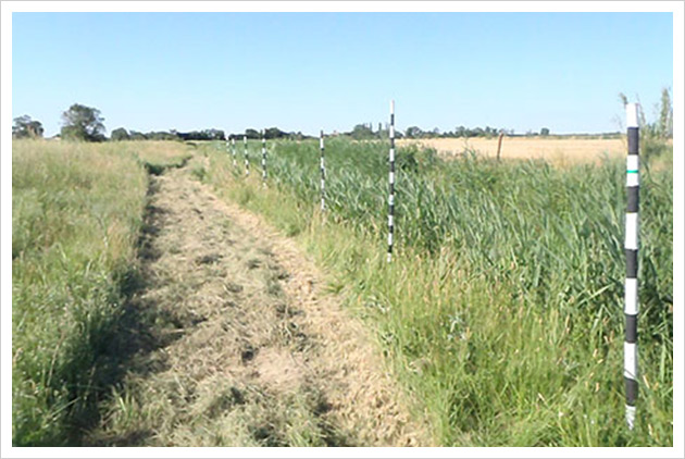 photo du parcours de «La Désorientation»