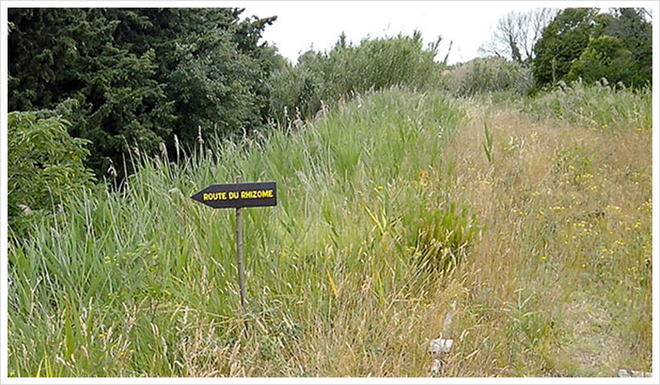 photo du parcours «La Désorientation»